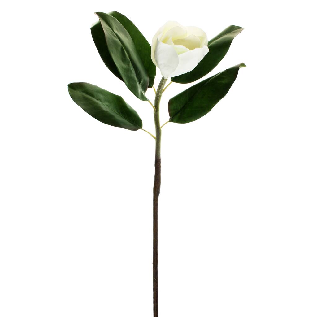 10181669.jpg img